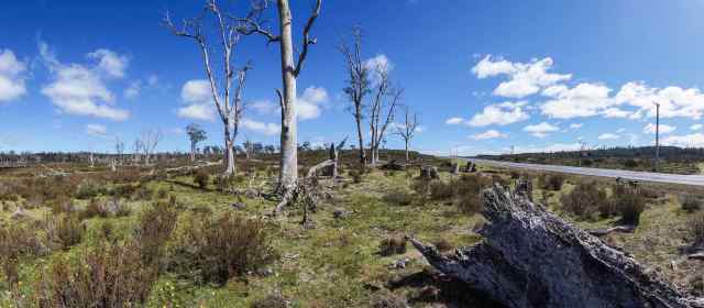 desolate fields in the Middlesex area near Cradle Mountain